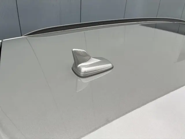 Audi e-tron HELAAS VERKOCHT!!! 2022 Elektrisch 74