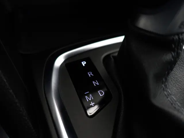 Renault Mégane 1.3 TCe 165pk Bose Aut- 2019 Benzine 15