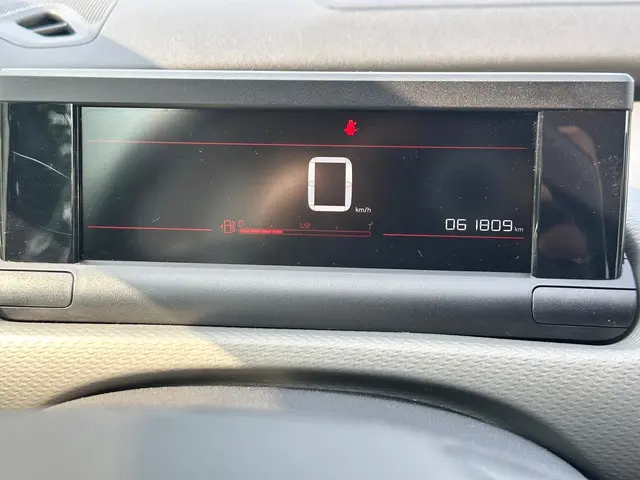 Citroën C4 Cactus 1.2 PureTech Feel 2019 Benzine 30