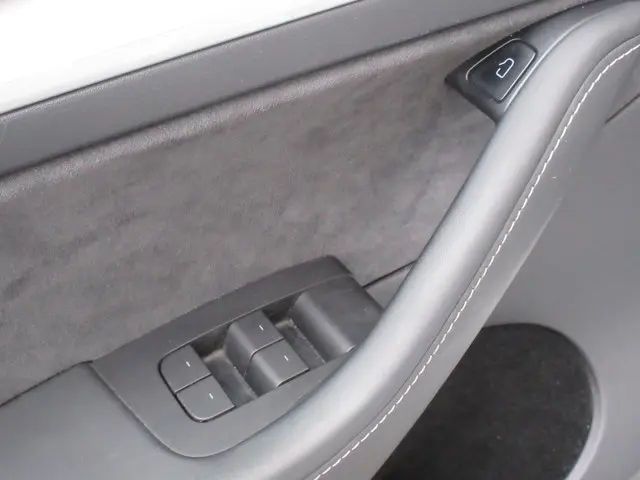 Tesla Model Y Long Range AWD 75 kWh 2021 Elektrisch 15
