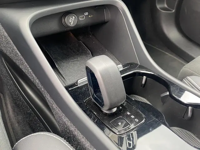 Volvo XC40 Recharge Plus 2022 Elektrisch 31