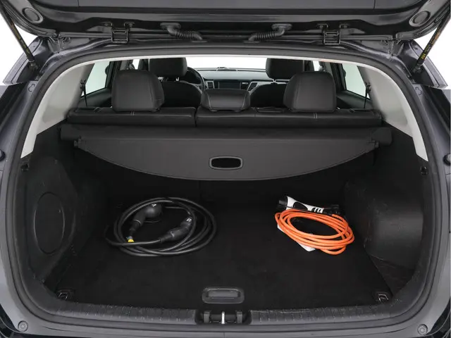 Kia e-Niro ExecutiveLine 64 kWh 2020 Elektrisch 10