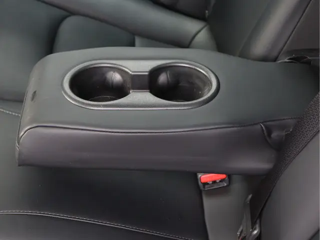 Tesla Model 3 Standard RWD Plus 60 kWh 2019 Elektrisch 24