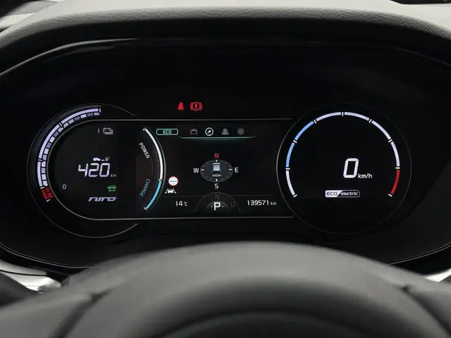 Kia e-Niro ExecutiveLine 64 kWh 2021 Elektrisch 20