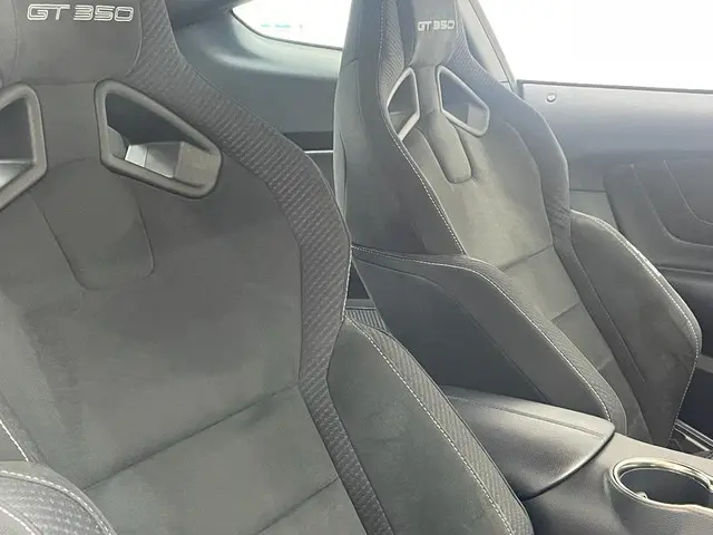 Ford Mustang Shelby GT350 EINDEJAARSACTIE 2017 Benzine 17