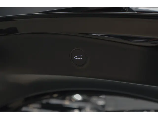 Tesla Model 3 RWD 2022 Elektrisch 31