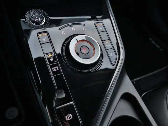 Kia Niro EV DynamicLine 64.8 kWh 2023 Elektrisch 20