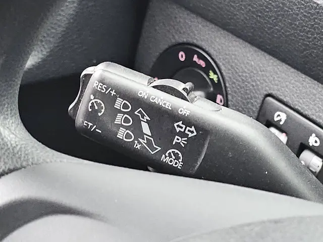 Volkswagen Caddy MAXI 2.0 2020 Diesel 13