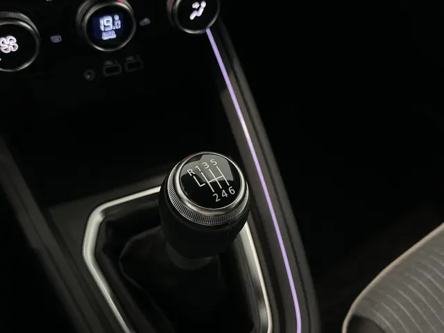 Renault Clio 1.0 TCe 90 Techno 2025 Benzine 29