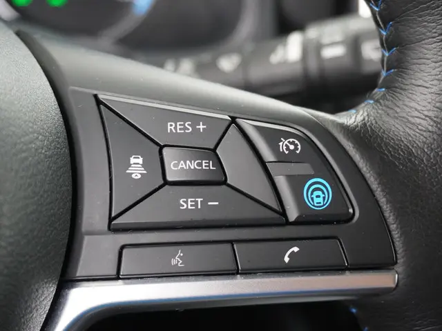 Nissan Leaf Tekna 40 kWh 2019 Elektrisch 30