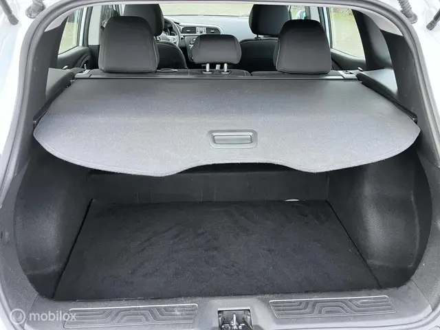 Renault Kadjar 1.2 TCe Limited 2018 Benzine 12