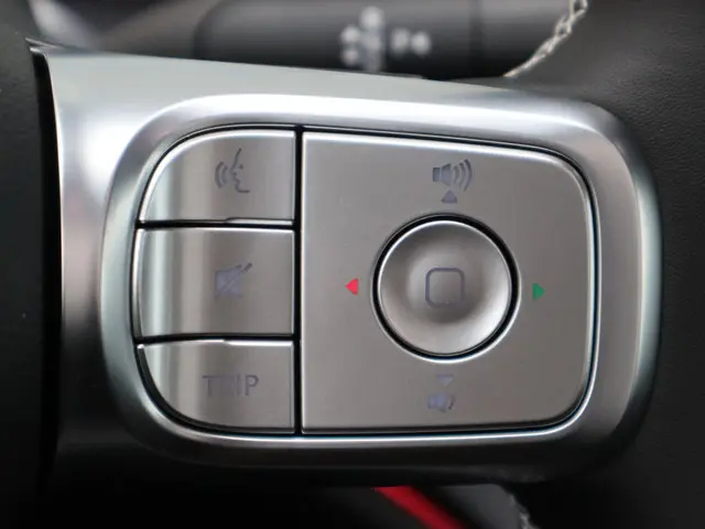 Smart #3 Premium 66 kWh 2025 Elektrisch 20