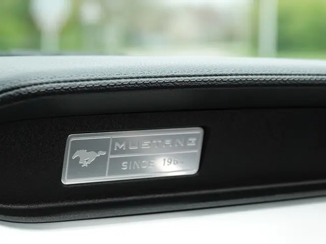 Ford Mustang Convertible 2.3 EcoBoost 310PK 2015 Benzine 44