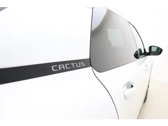 Citroën C4 Cactus 1.2 PureTech Shine Plus 2020 Benzine 15