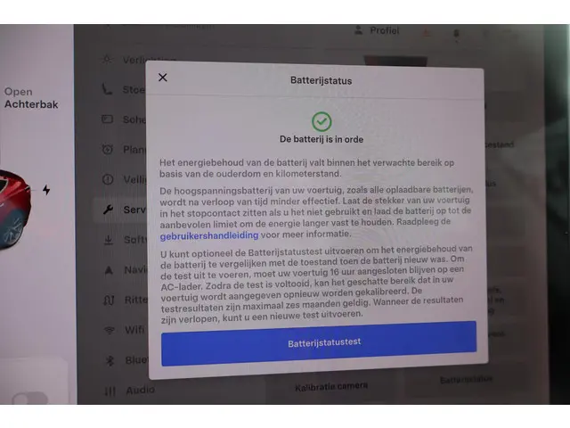 Tesla Model 3 Long Range AWD 75 kWh 2019 Elektrisch 12