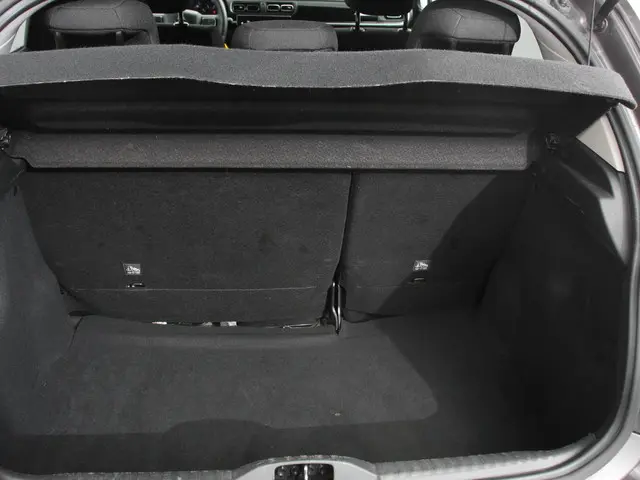 Citroën C3 1.2 PureTech 110pk Automaat Max 2024 Benzine 22