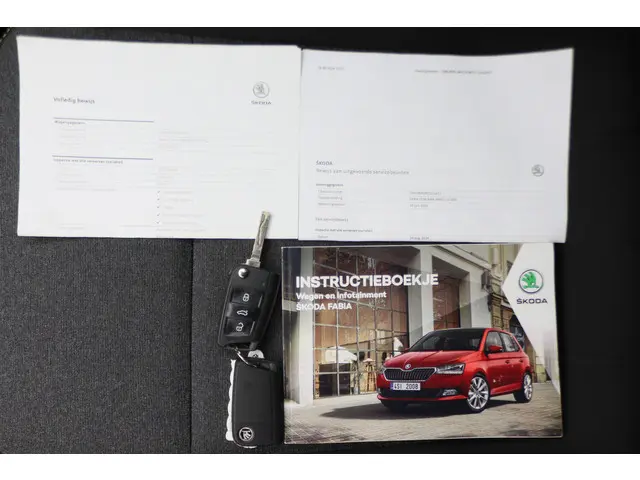 Škoda Fabia Combi 1.0 Business Edition 2019 Benzine 33