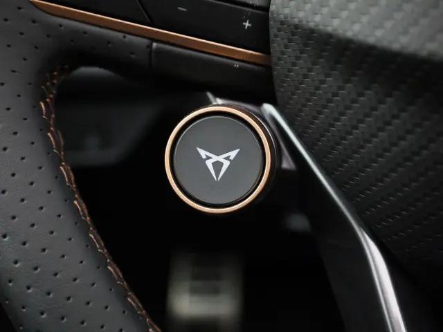 CUPRA Terramar 1.5TSI/150PK DSG Business 2025 Benzine 23