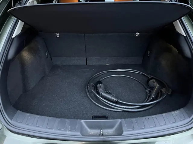 Lexus UX 300e Executive 54 kWh 2020 Elektrisch 30