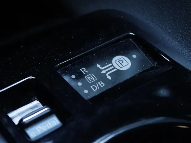 Nissan Leaf e+ Tekna 62 kWh 2022 Elektrisch 24