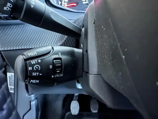 Peugeot 2008 1.2 PureTech 100 Active 2024 Benzine 15