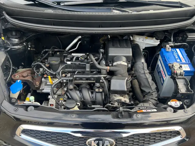 Kia Picanto 1.0 CVVT Design Edition 2013 Benzine 14