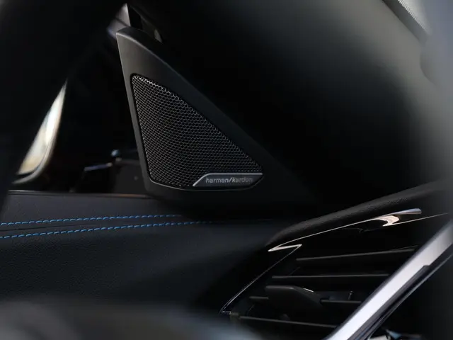 BMW Z4 Roadster sDrive20i High Executive 2021 Benzine 48