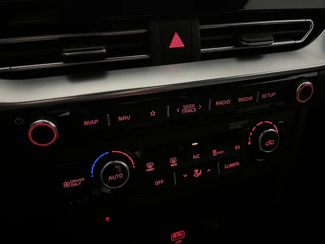 Kia e-Niro ExecutiveLine 64 kWh 2020 Elektrisch 12