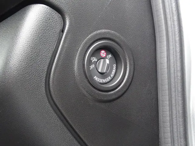 Dacia Spring Expression 27 kWh 2024 Elektrisch 30