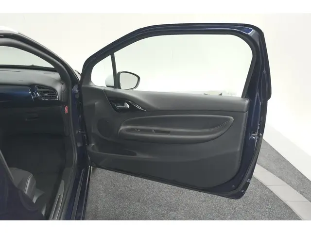 DS DS 3 PureTech 110 So Chic 2017 Benzine 55