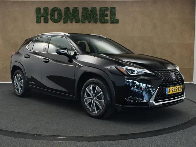 Lexus UX 300e Business 54 kWh 2020 Elektrisch 13