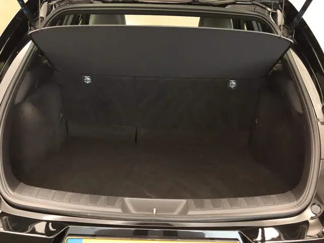 Lexus UX 300e Business 54 kWh 2020 Elektrisch 13