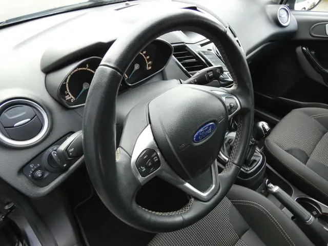 Ford Fiesta HELAAS VERKOCHT!!! 2015 Benzine 28
