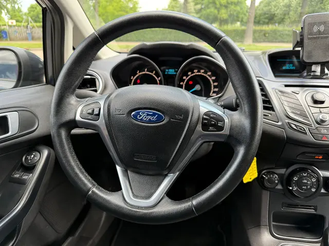 Ford Fiesta 1.25/Airco/Elek. Ramen/Nap/Apk! 2014 Benzine 13