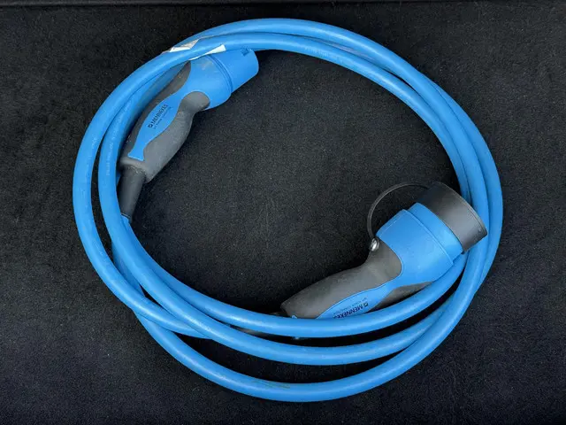 Tesla Model 3 Long Range AWD 75 kWh 2021 Elektrisch 22