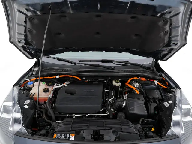 Ford Kuga 2.5 PHEV Vignale (Plug-In) 2020 Hybride Benzine 29