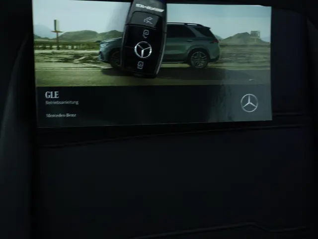 Mercedes-Benz GLE 53 AMG 4MATIC+ Limited 2023 Benzine 28
