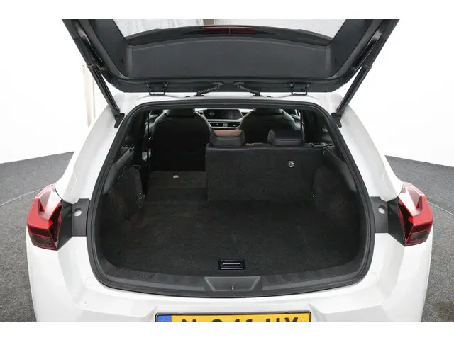 Lexus UX 250h Luxury Line 2020 Hybride Benzine 25