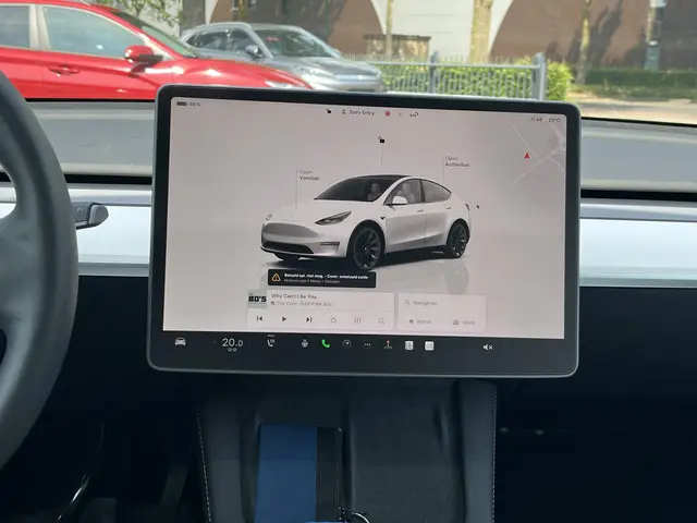 Tesla Model Y RWD 58 kWh 2022 Elektrisch 13