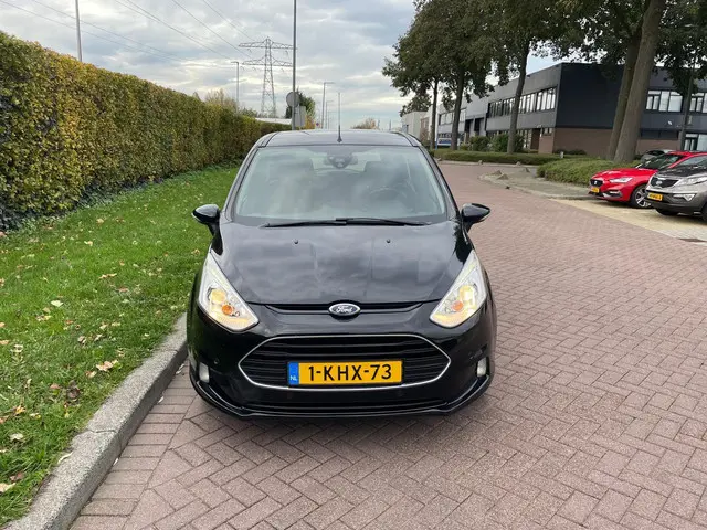Ford B-MAX 2