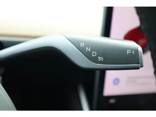 Tesla Model 3 Long Range AWD 75 kWh 2019 Elektrisch 29