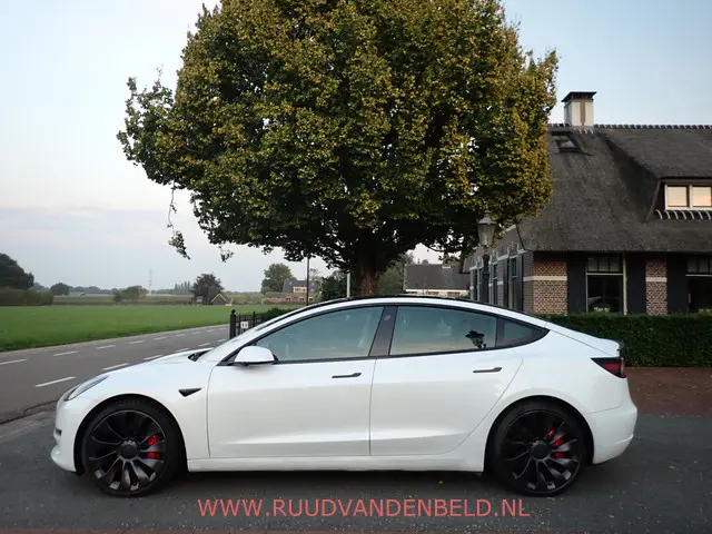 Tesla Model 3 Performance AWD 75kWh 2020 Elektrisch 6