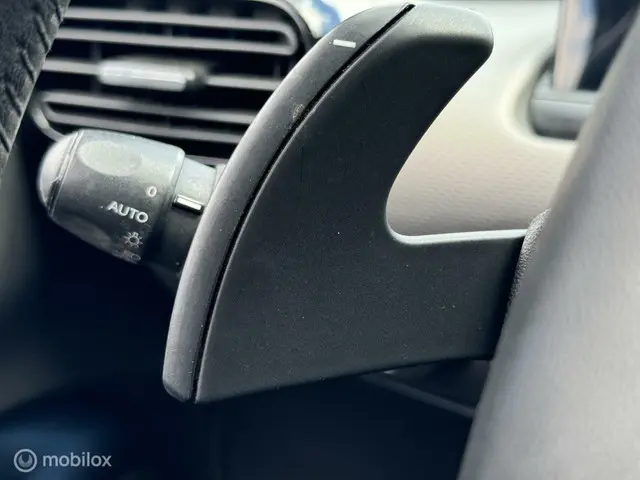 Citroën C4 Cactus 1.2 e-VTi Shine 2014 Benzine 19