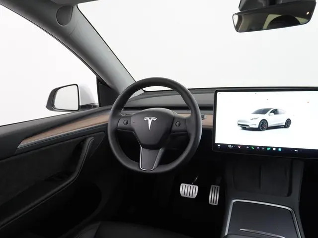 Tesla Model Y Performance AWD 75 kWh 2022 Elektrisch 23