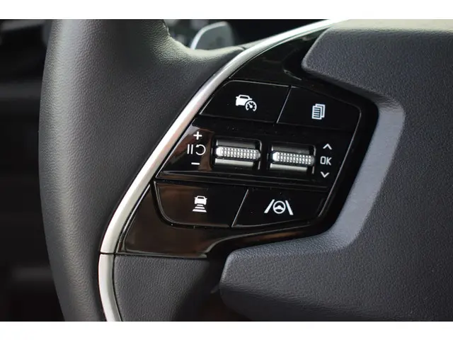 Kia Niro EV Edition Advanced 64.8 kWh 2024 Elektrisch 12
