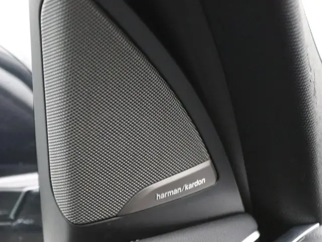 BMW iX3 80 kWh 2021 Elektrisch 38