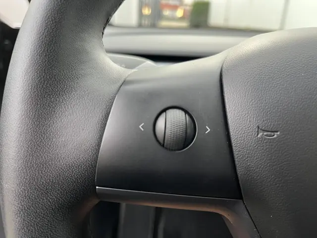 Tesla Model 3 Performance AWD 75 kWh 2019 Elektrisch 33