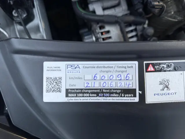 Peugeot 208 1.2 PureTech Blue Lion 2018 Benzine 21