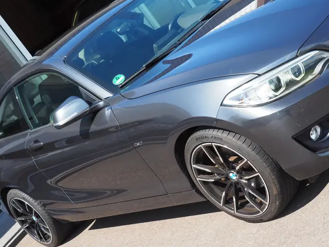 BMW 2 Serie Coupé 220i High Executive 2014 Benzine 12