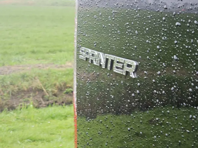 Mercedes-Benz Sprinter 316 2019 Diesel 16